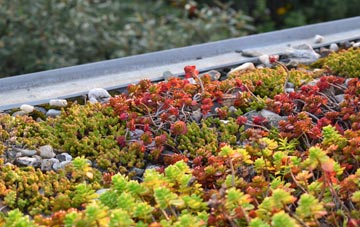 the cost of Balvraid green roof installation