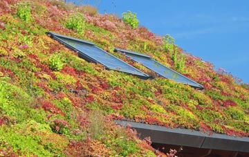 Balvraid living roof systems