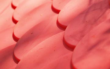 Balvraid plastic roof costs