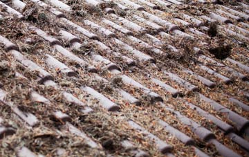 Balvraid roof cleaning companies