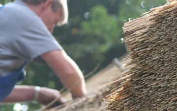 professional Balvraid thatchers