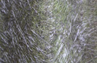 Balvraid fibreglass roof work