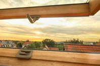 rated Balvraid roof window companies